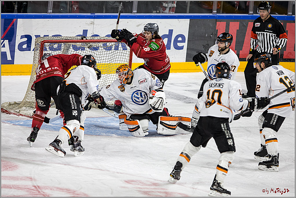 DEL, Koelner Haie - Grizzlys Wolfsburg, 17.03.2017